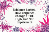 Evidence Backed: How Terpenes Change a THC High, but Not Impairment