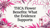 THCA Flower Benefits: What the Evidence Supports