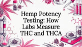 Hemp Potency Testing: How Labs Measure THC and THCA