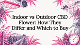 Indoor vs Outdoor CBD Flower: How They Differ and Which to Buy