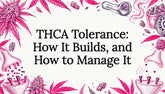 THCA Tolerance: How It Builds, and How to Manage It