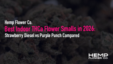 Best Indoor THCa Flower Smalls in 2026: Strawberry Diesel vs Purple Punch Compared