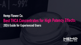 Best THCA Concentrates for High Potency Effects: 2026 Guide for Experienced Users