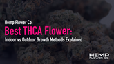 Best THCA Flower: Indoor vs Outdoor Growth Methods Explained