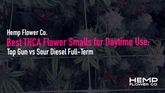 Best THCA Flower Smalls for Daytime Use: Top Gun vs Sour Diesel Full-Term