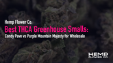 Best THCA Greenhouse Smalls: Candy Pave vs Purple Mountain Majesty for Wholesale
