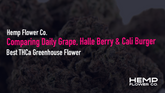 Comparing Daily Grape, Halle Berry & Cali Burger: Best THCa Greenhouse Flower