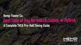 Best Time of Day for Indica, Sativa, or Hybrid: A Complete THCA Pre-Roll Timing Guide