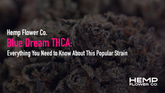 Blue Dream THCA: Everything You Need to Know About This Popular Strain