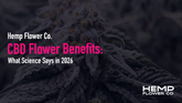 CBD Flower Benefits: What Science Says in 2026