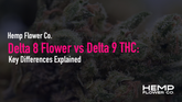 Delta 8 Flower vs Delta 9 THC: Key Differences Explained