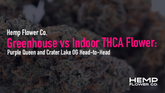 Greenhouse vs Indoor THCA Flower: Purple Queen and Crater Lake OG Head-to-Head