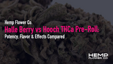 Halle Berry THCa Pre-Roll vs Hooch THCa Pre-Roll: Potency, Flavor & Effects Compared