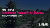Hemp Planting Predictability Act Explained: What Growers Need to Know