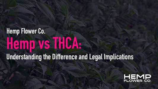 Hemp vs THCA