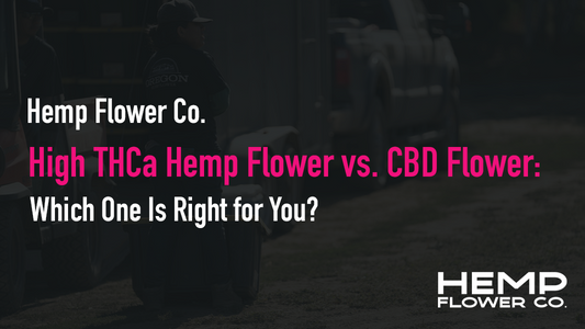 High THCa Hemp Flower vs. CBD Flower: Which One Is Right