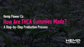 How Are THCA Gummies Made? A Step-by-Step Production Process