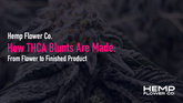 How THCA Blunts Are Made: From Flower to Finished Product