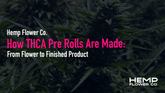 How THCA Pre Rolls Are Made: From Flower to Finished Product