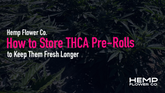 How to Store THCA Pre-Rolls to Keep Them Fresh Longer