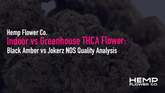 Indoor vs Greenhouse THCA Flower: Black Amber vs Jokerz NOS Quality Analysis