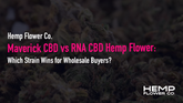 Maverick CBD vs RNA CBD Hemp Flower: Which Strain Wins for Wholesale Buyers?