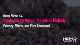 Studio 54 vs Purple Mountain Majesty: Potency and Effects Compared
