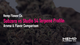 Subzero vs Studio 54 Terpene Profile: Aroma & Flavor Comparison