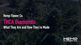 THCA Diamonds: What They Are and How They're Made