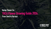 THCA Flower Growing Guide 2026: From Seed to Harvest