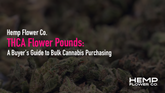 THCA Flower Pounds: A Buyer's Guide to Bulk Cannabis Purchasing