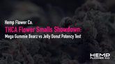 THCA Flower Smalls Showdown: Mega Gummie Bearz vs Jelly Donut Potency Test