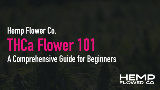 THCa Flower 101: A Comprehensive Guide for Beginners