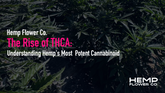 The Rise of THCA: Understanding Hemp's Most Potent Cannabinoid