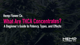What Are THCA Concentrates? A Beginner's Guide to Potency, Types, and Effects