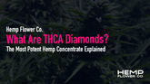 What Are THCA Diamonds? The Most Potent Hemp Concentrate Explained