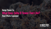 What Does Delta 8 Flower Feel Like? Real Effects Explained