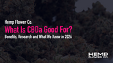 What Is CBDa Good For? Benefits, Research and What We Know in 2026