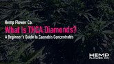 What Is THCA Diamonds? A Beginner's Guide to Cannabis Concentrates