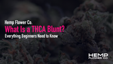 What Is a THCA Blunt? Everything Beginners Need to Know