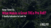 What Makes a Great THCa Pre Roll? 5 Quality Indicators to Look For