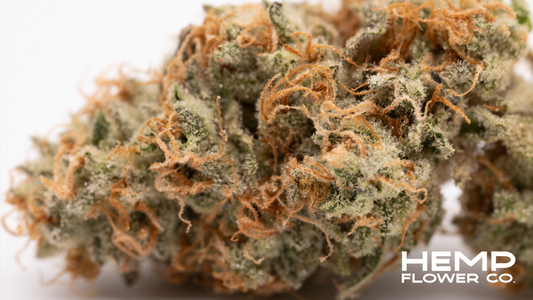 What is THCA? A Deep Dive into Tetrahydrocannabinolic Acid