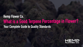 What is a Good Terpene Percentage in Flower? Your Complete Guide to Quality Standards