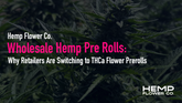 Wholesale Hemp Pre Rolls: Why Retailers Are Switching to THCa Flower Prerolls