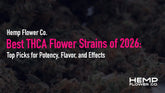 Best THCA Flower Strains of 2026: Top Picks for Potency, Flavor, and Effects