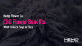 CBD Flower Benefits: What Science Says in 2026
