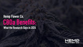 CBDa Benefits: What the Research Says in 2026