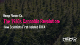 The 1960s Cannabis Revolution: How Scientists First Isolated THCA