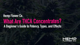 What Are THCA Concentrates? A Beginner's Guide to Potency, Types, and Effects