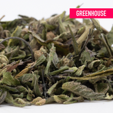 Bahama Bussdown Greenhouse THCa Trim Wholesale